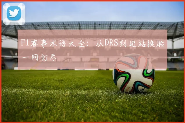 F1赛事术语大全:从DRS到进站换胎一网打尽